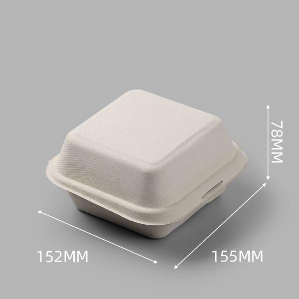 Hamburg Lunch Box Eco-Friendly Biodegradable Hand Drawn Cake Roll Initial Payment