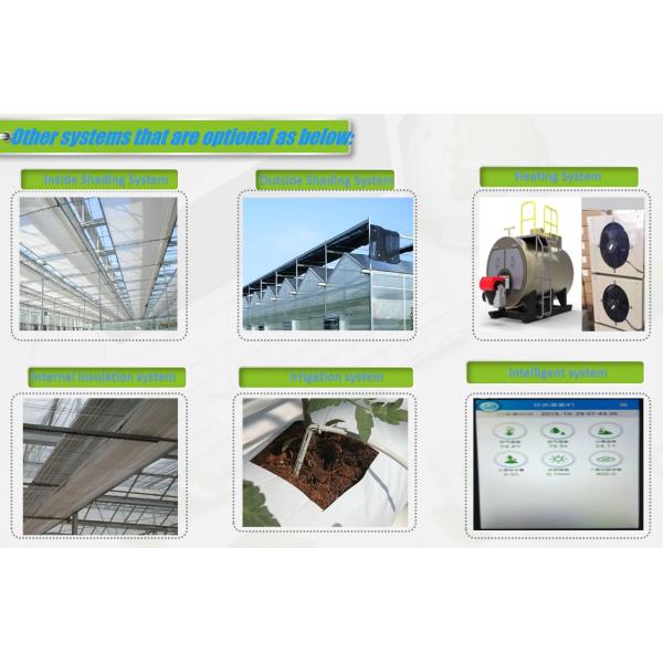 Large Size Vertical Hydroponic Greenhouse Stable Structure Easily Assembled