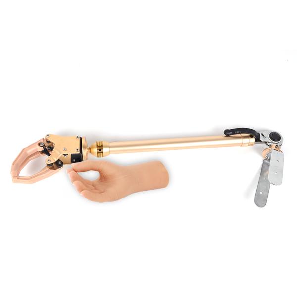Elbow Disarticulation Cosmetic Hand Upper Limb Prosthetic