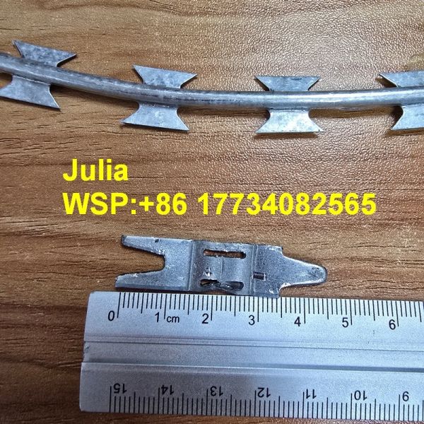 High Security Razor Barbed Wire Galvanized Steel Fencing Solution With Dedicated Clips And Excellent Defense Capability