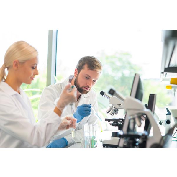 In Vitro Diagnostic 97.5% Accuracy Syphilis Rapid Test Kit