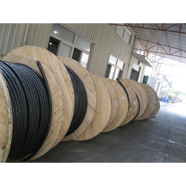 Bare Copper Wire XLPE 1 Core Swa Electrical Power Cable