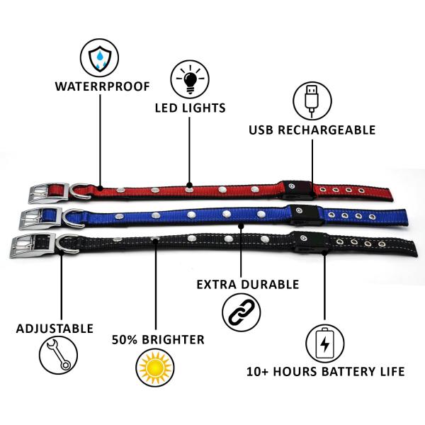USB Rechargeable Waterproof Lighted Dog Collars Super Bright For Night Visibility Safety