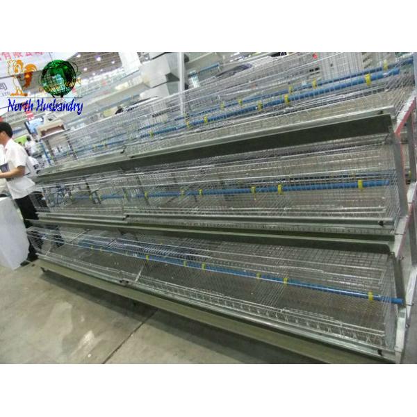 Cooling Fan For Chicken House