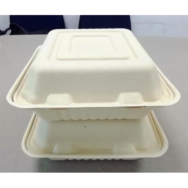 8/10 Inch Compostable Natural-Pulp 3-Compartments Lunch Bento Box Biodegradable Sugarcane Baggasse Food Container