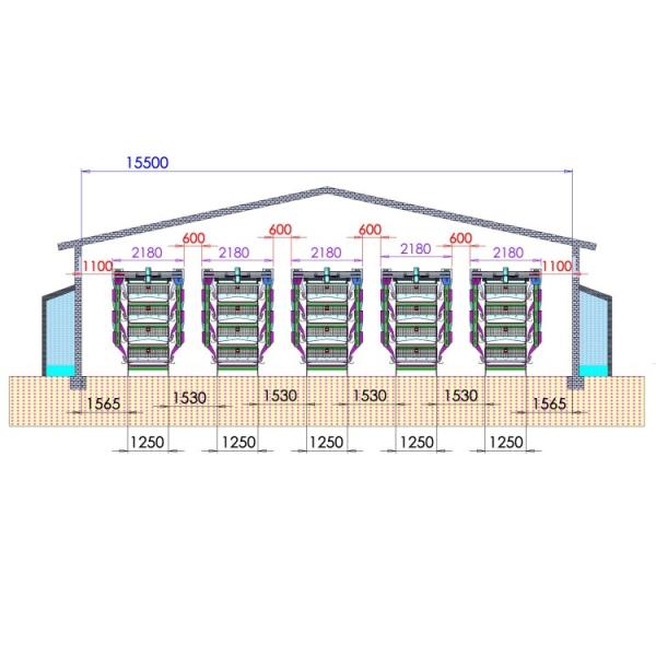 Egg Layer Battery Chicken Cage For 30000 Layers Fully Automatic Poultry Cage System