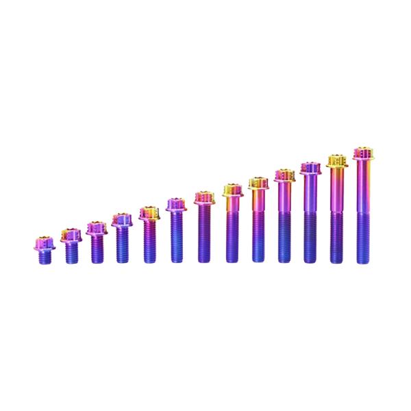 Anodized Titanium Torx Screws Perfect for Motorcycles Bicycles