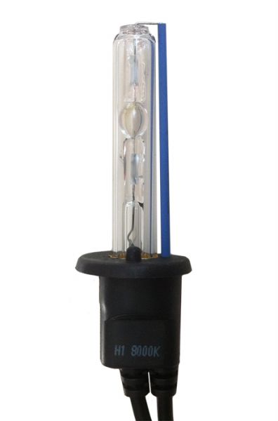 Signal bulb H1