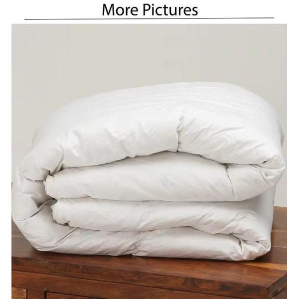 Luxury Hotel White Duck Down Duvet Wholesale Down Duvet (JRD965)