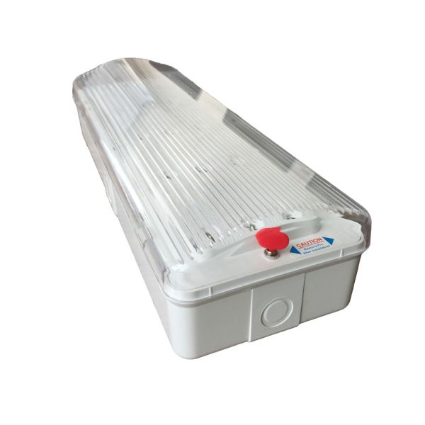 Rechargeable Emergency Light with Fire-Retardant ABS Casing, Nickel-Cadmium Battery, and 3 Hours Duration