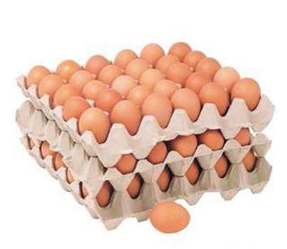 Waste Paper Wine And Egg Tray Machine , High Efficient Pulp Molding Machine