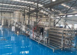 Quality Industrial Tomato Paste Processing Line Turnkey Processing Line With 12 Months Warranty for sale