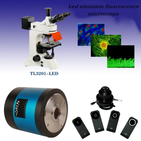 TL3201-LED Falling Led Fluorescence Microscope For Transmission Field Observation