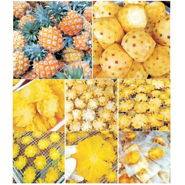 Economical Export Type Small Size Constant Temperature Dryer Fruit Drying Oven