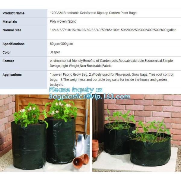 customized waterproof green pe car protector,environmental firendly, car boot liner, reusable, durable,economical,sample