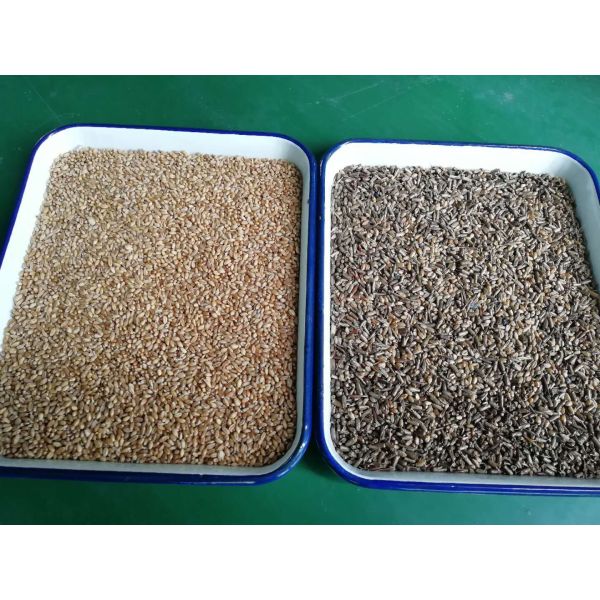 Wenyao High Sorting Accuracy Rice Color Sorter Machine Optical Sorting Machine for Grain Cleaning with Air Compressor Air Tank