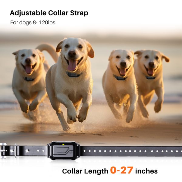 Waterproof Rechargeable Eco-friendly Electric Shock Collar 600m Remote Control Agility Training for Dogs Pet Supplies