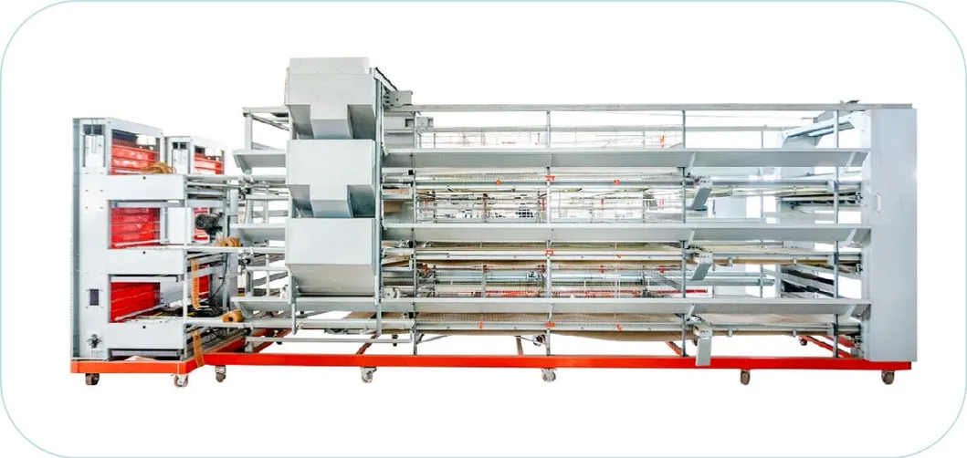Galvanized Construction Chicken Farm H Type Layer Cage With Automatic Egg Collection