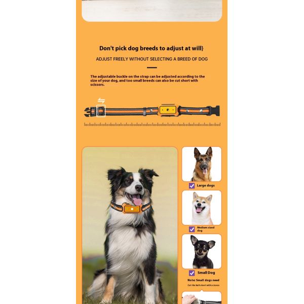 Precision Dog Trainer Multi-Functional Hand-Held Wireless Electronic Fence Forbidden Zone Waterproof IP67 Pet Training Supplies