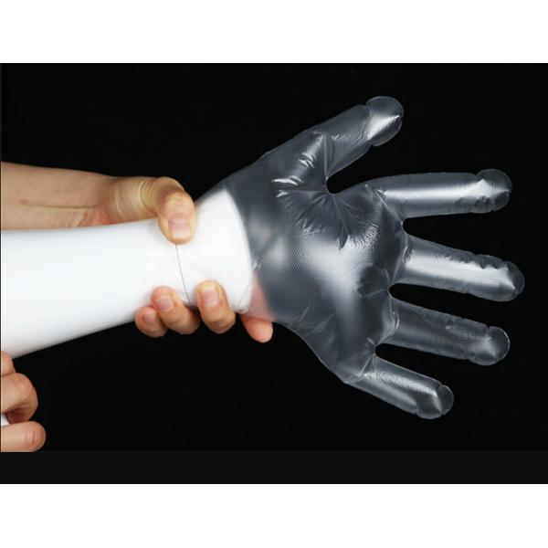LDPE Disposable Plastic Gloves