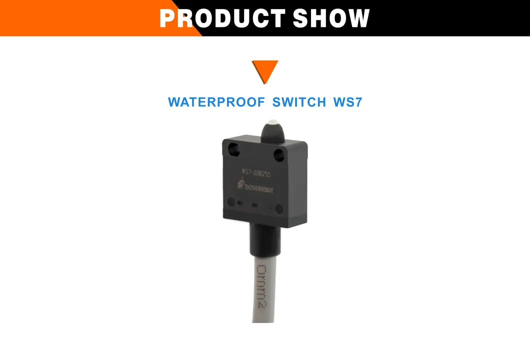 Ws7 Building Door Industrial Control Special Waterproof Micro Switch
