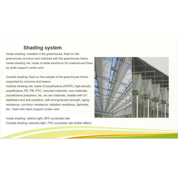 Customizable Multi Span Greenhouse For Tomato Plants Growing
