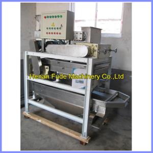 Quality walnut kernel chopping machine, walnut cutter for sale