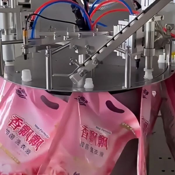 2kw Rotary Pouch Filling Machine Servo Magnetic Pouch Filling Sealing Machine