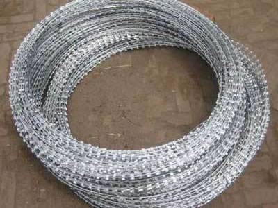 Hot Dipped Galvanized Welded Razor Wire Mesh 100mm*100mm mesh aperture