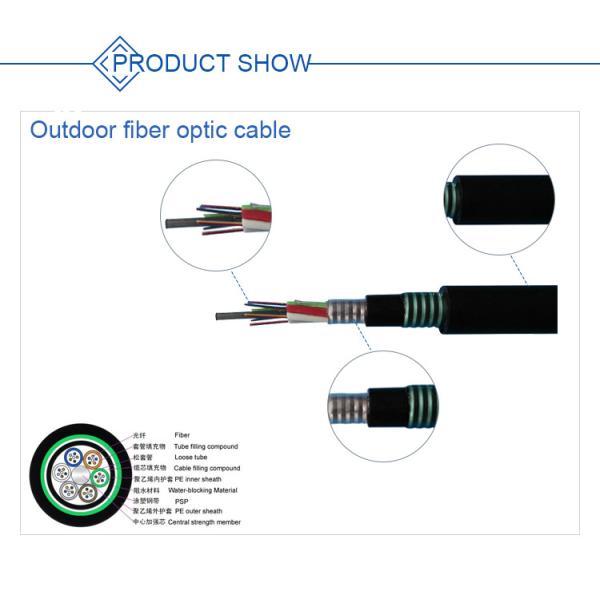 Double Armored Sheathed SM G652D Optical Fiber Cables