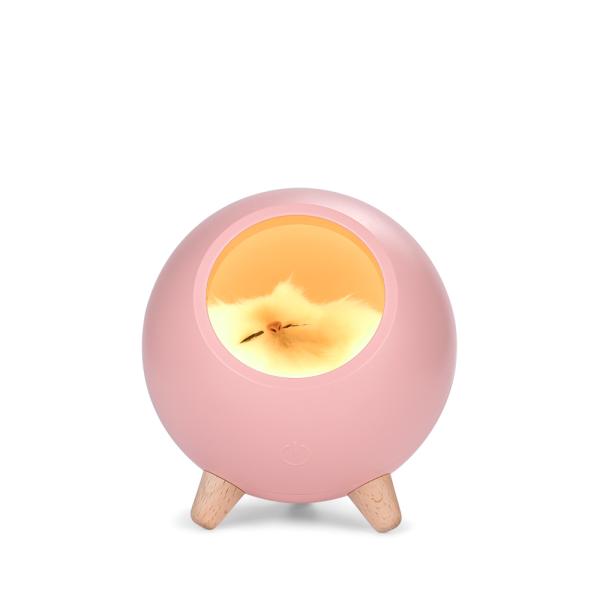 Atmosphere Touch Induction Dimming Children Table Lamp USB Charging Cartoon LED Battery Lighting and Circuitry Design Room EMC