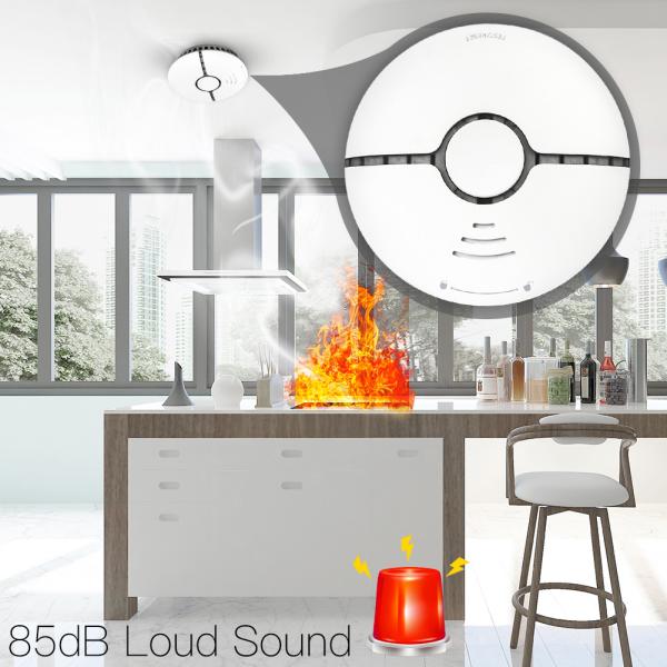 Battery 2.4Ghz Wifi Wifi Smoke Detector