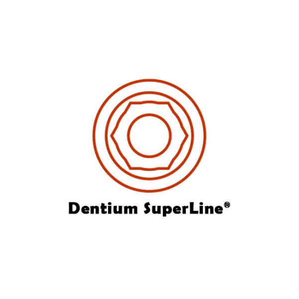 Dentium Superline® Implant Internal Titanium Premill Blank Abutment 10mm Engaging