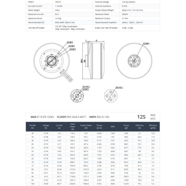 8118 IPE Brushless DC Motor side view