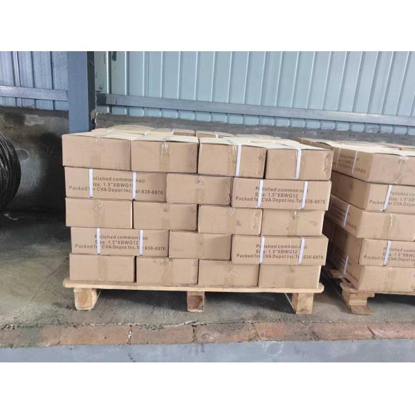 Hot Sale Screw Galvanized Nails