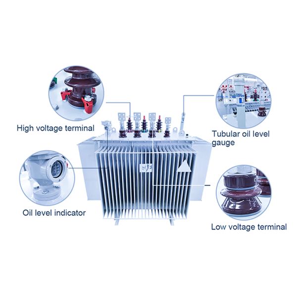 HENTG Power 50kVA Oil Immersed Transformer