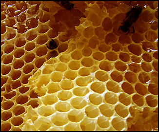 100% Natural Comb Beeswax Foundation Sheets For Bee Frames 41.5*19.5cm