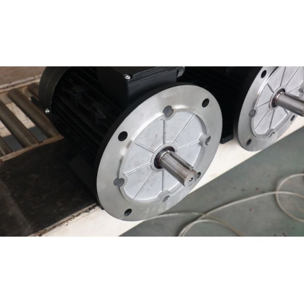 MS100L1-4 2.2KW Asynchronous Induction Motors IP44