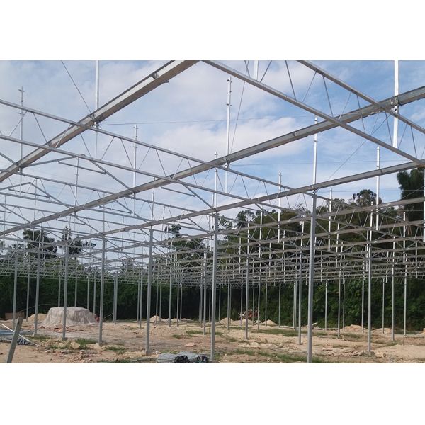Energy Efficient Multi Functional PC Greenhouse With Seeding Bench - Suitable For Ornamental Plants In Any Climate