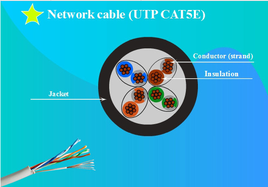 RJ45 Plug Cat5e UTP Cable High Performance BC Indoor Network Cable