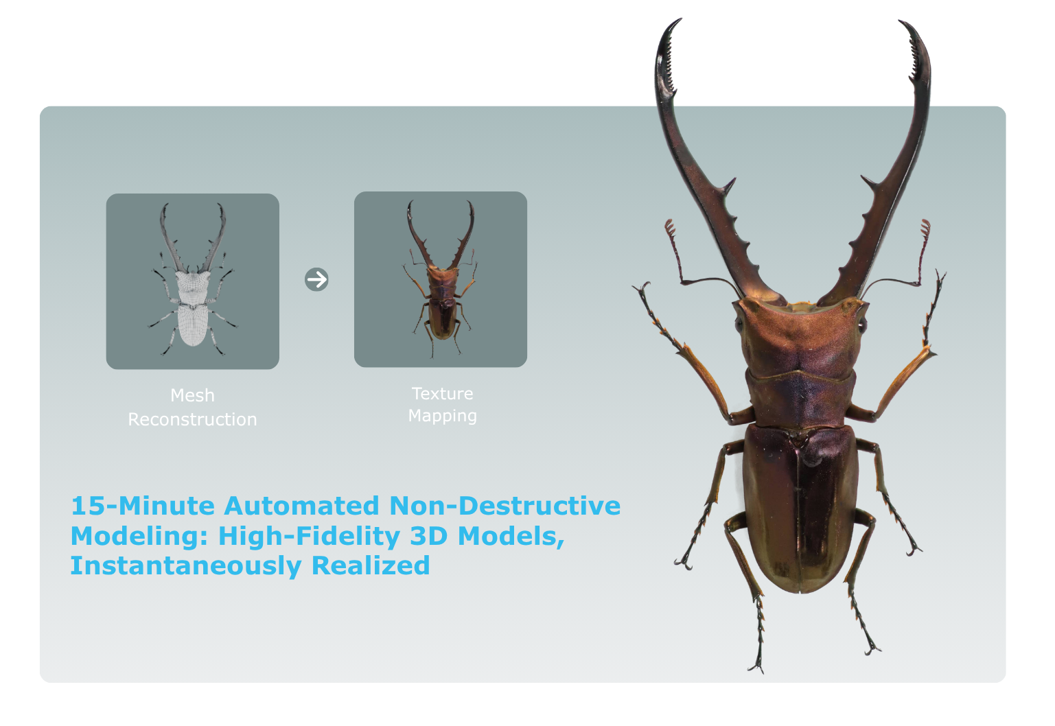 3DDS Rapid 3D Specimen Digitization & Reconstruction System