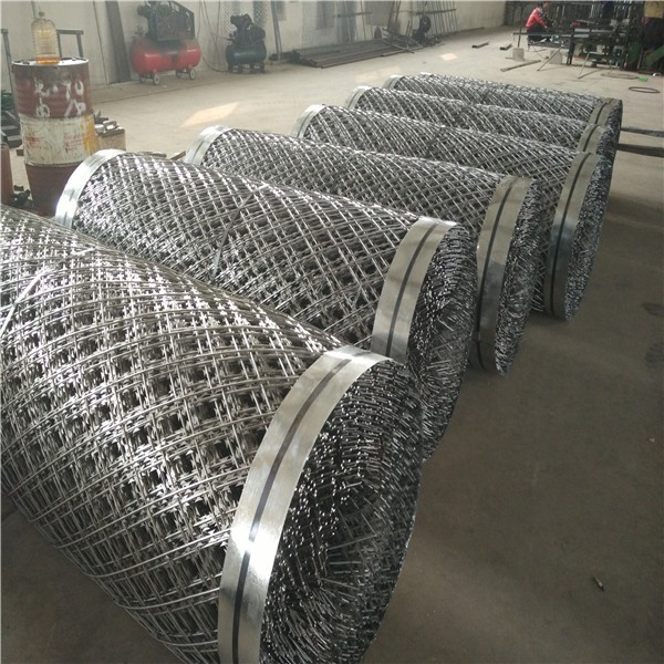 High Strength Stainless Steel Razor Wire Durable Security for Farm