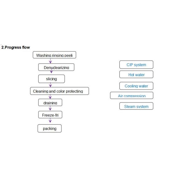 Melon Peach Apricot Pumpkin Processing Line Proposal
