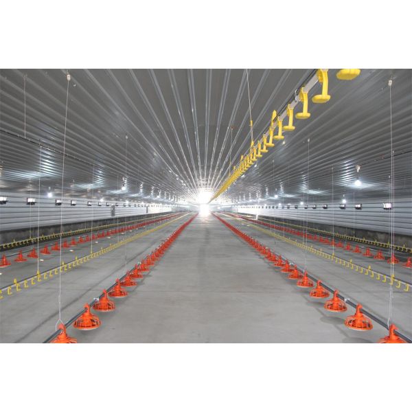 Modern Design Waterproof Thermal Insulation Chicken House Laying Chicken House Steel Structure Poultry House