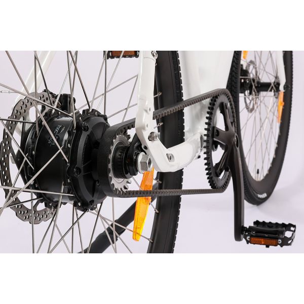 Standard Style Carbon Belt Drive EBike LCD Display Electric Bike with 9.6 AH Capacity