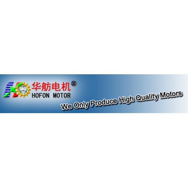 Hofon Motor 12mm large torque with Self-locking function DC Worm Gear Motor for Smart Lock