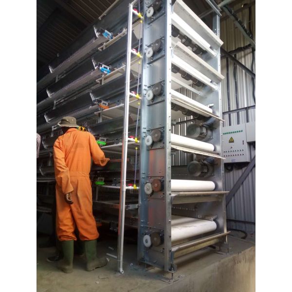Poultry Layer Cage System High Capacity Poultry Solution Battery Cage for Layers