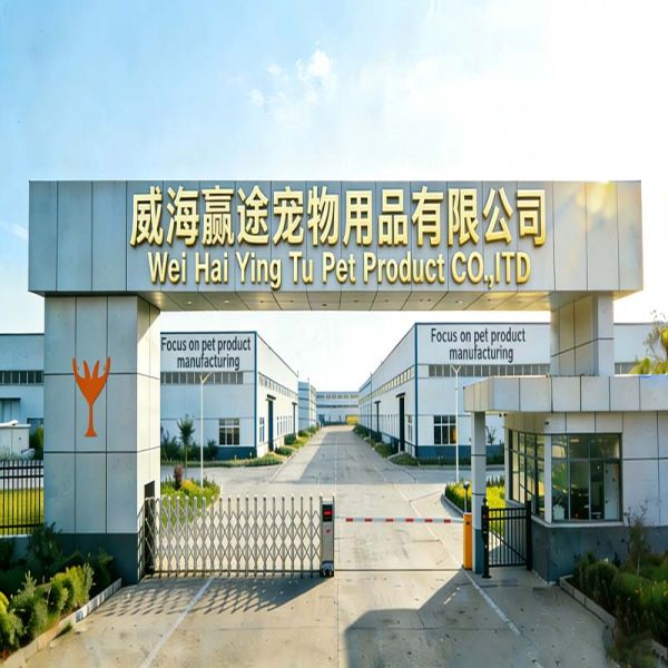 Smart Automatic Pet Feeder App Control Timer Portion Control Voice Record Wholesale Bulk OEM Manufacturer