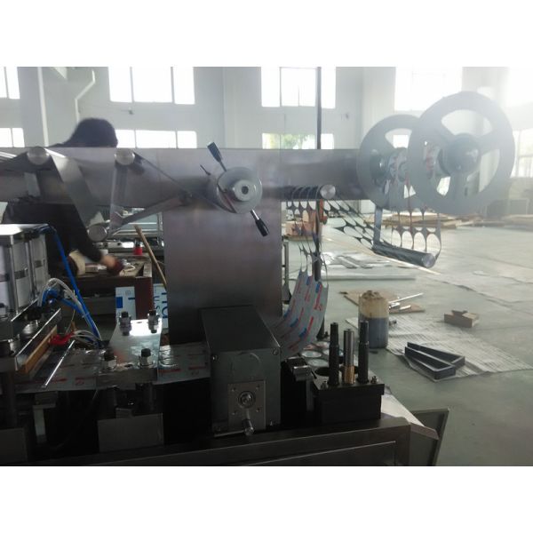 Mini Pharmaceutical Blister Packaging Machines / Wrapping Blister Line With Step Motor