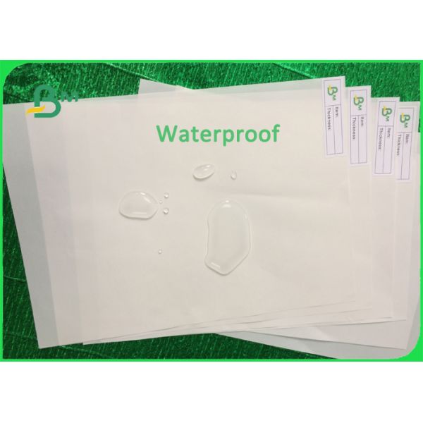 Moisture - proof 120gsm - 560gsm Double Coated Stone Paper for Notebook